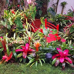Anthurium Hale Privatunterkunft